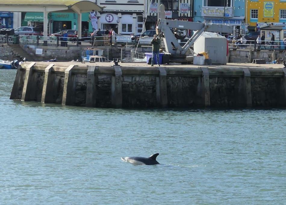 Stunning Penthouse Views To Harbour With Parking. Apartamento Brixham Exterior foto